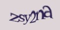 Copy the security code.